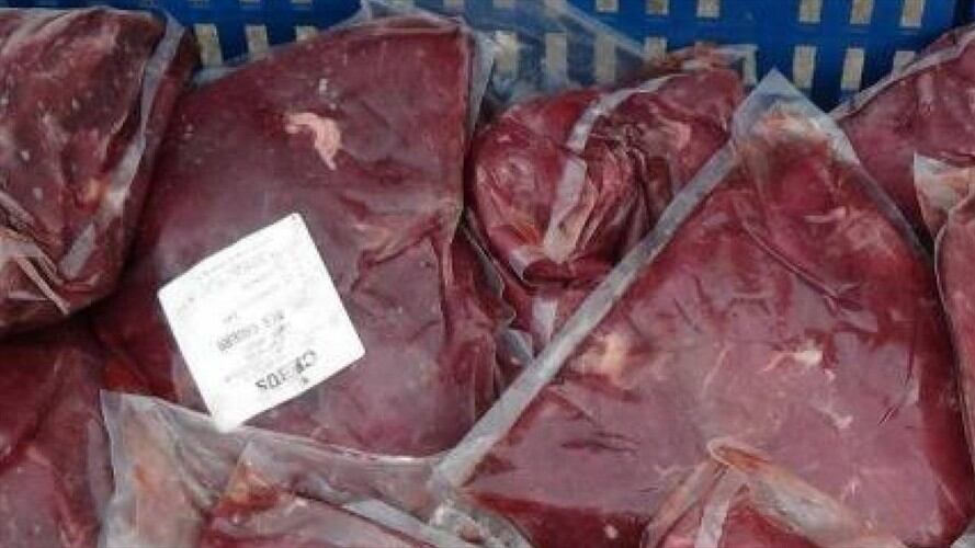 Carne Caballo . Foto:Fiscalía.