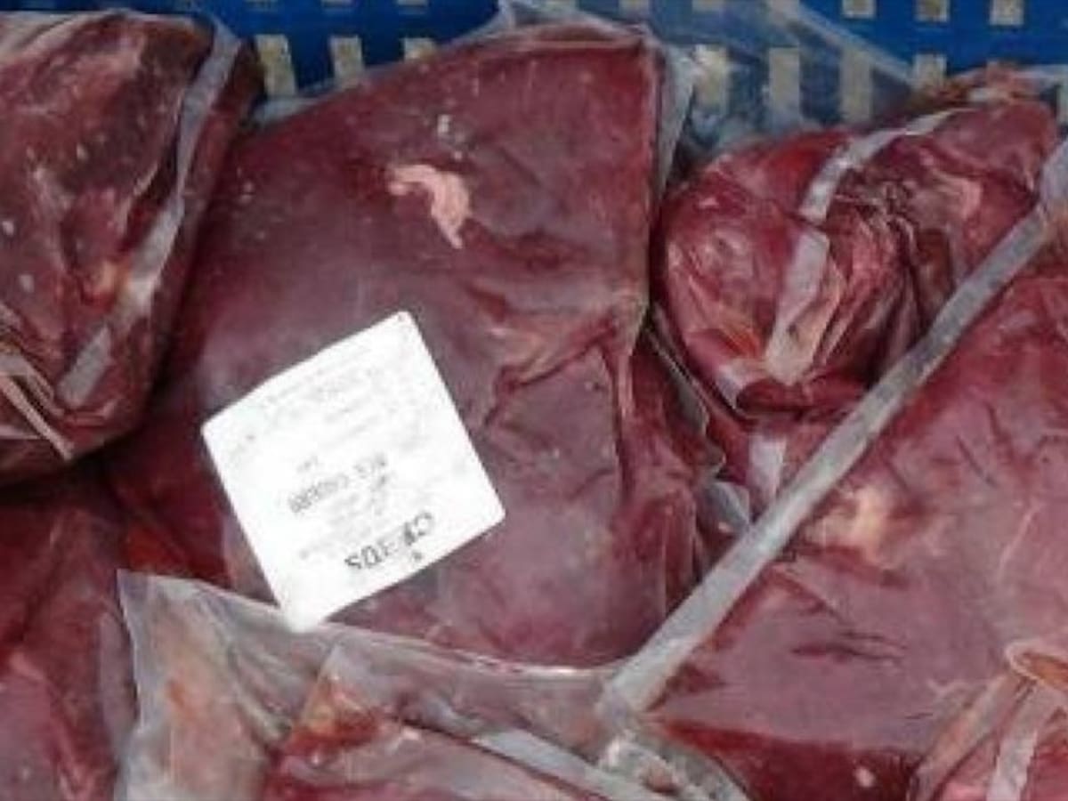 En la Ceja, Antioquia, habrían dado carne de caballo a niños del PAE
