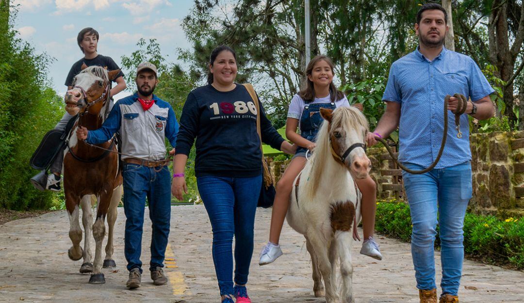 PONY PARQUE: el maravilloso mundo de los ponis