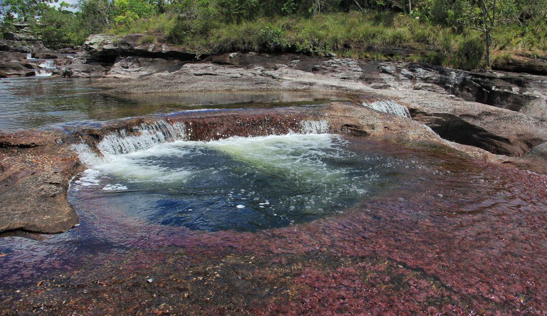 Caño Cristales