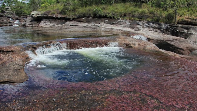 Caño Cristales