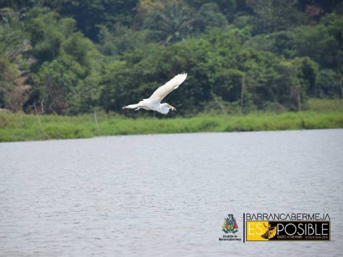 En Barrancabermeja se preparan a nivel ambiental