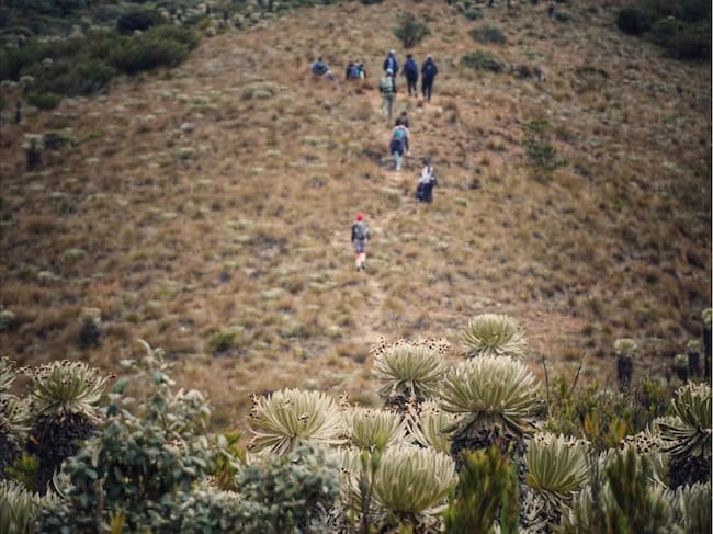 Denuncian fogatas y quema de frailejones por parte de visitantes, una práctica que podría desencadenar incendios forestales de gran magnitud. / Imagen: Cumbres Blancas