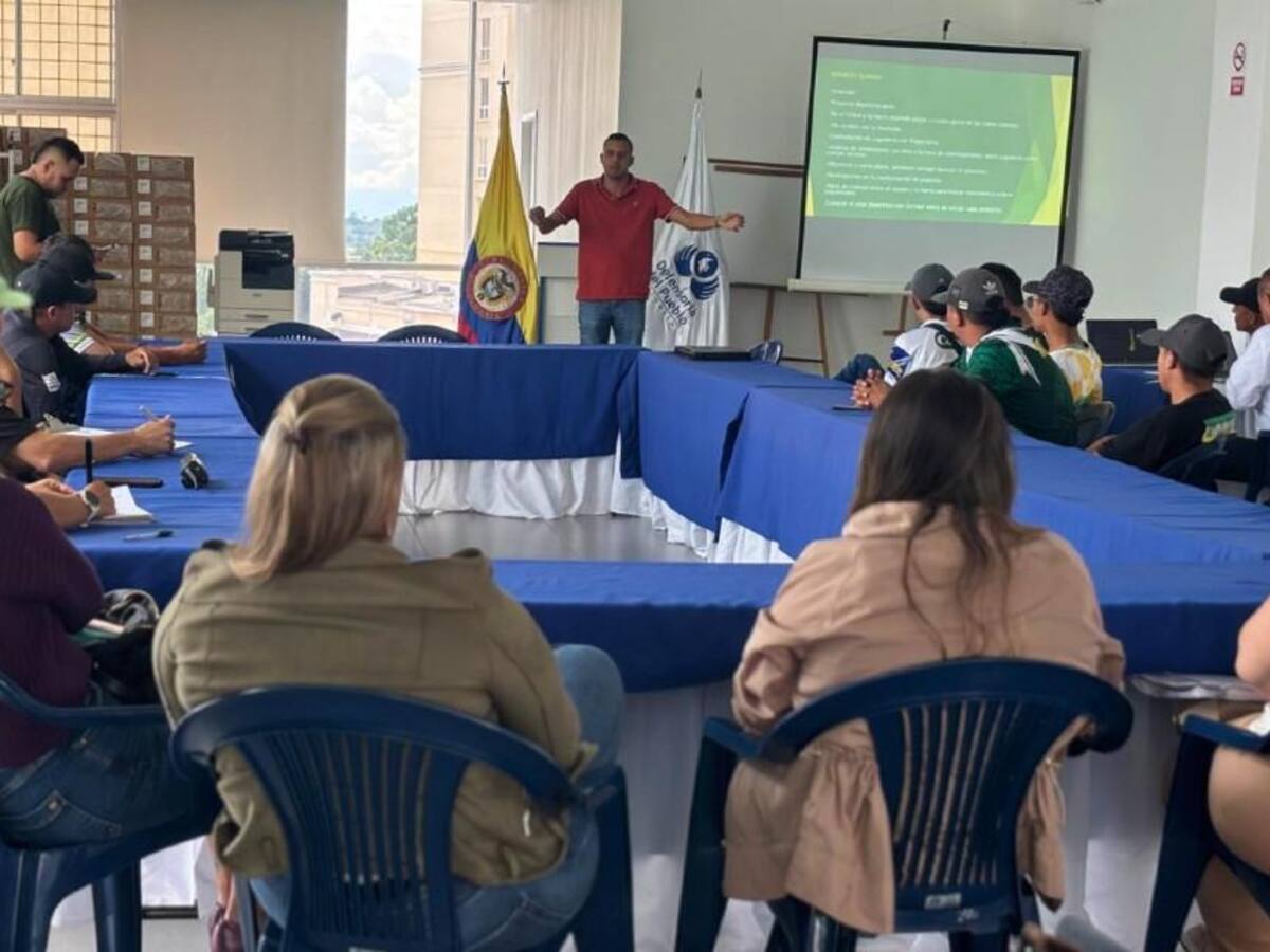 ¿Qué medidas se establecen en Armenia para disminuir hechos de violencia en el fútbol?