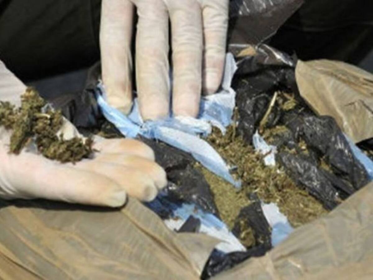 Incautan en Pereira un cargamento de marihuana avaluado en $200 millones