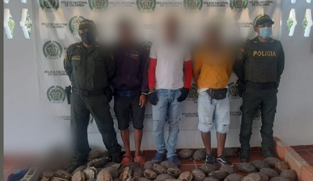 La Policía aseguró entre febrero y marzo capturaron a 17 personas por aprovechamiento ilícito de los recursos naturales renovables.