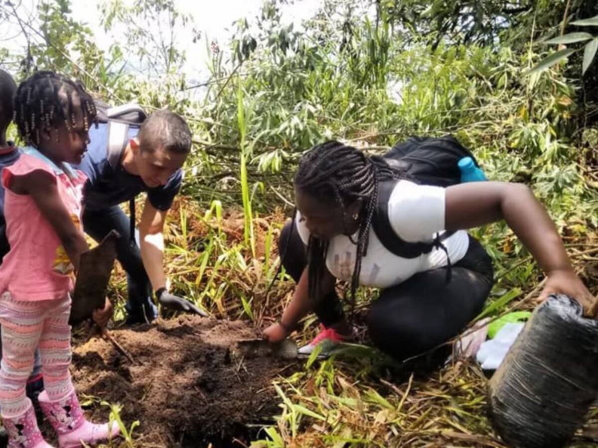 La Carder sembrará 480 mil árboles en los próximos cuatro años en Risaralda