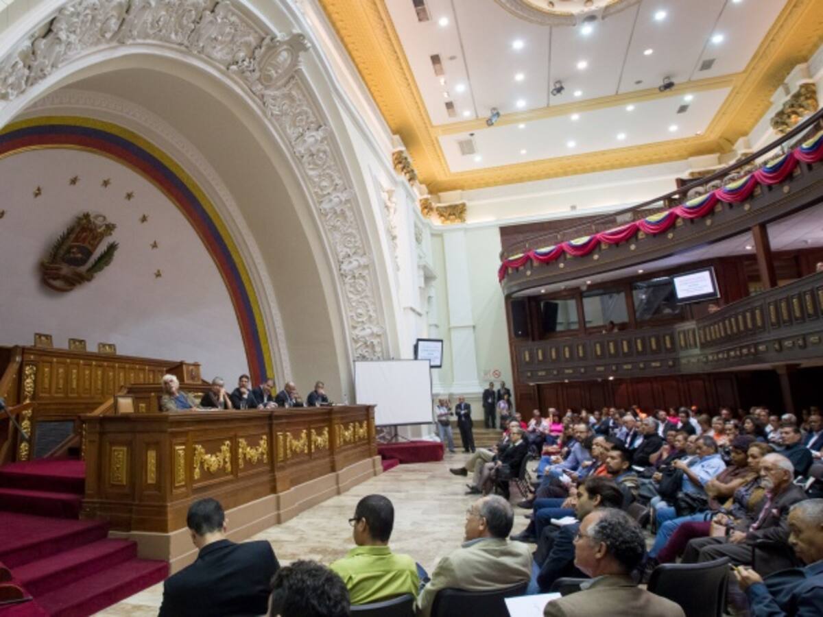 Diálogo en Venezuela no avanza porque a Cuba no le interesa: Beatriz de Majo
