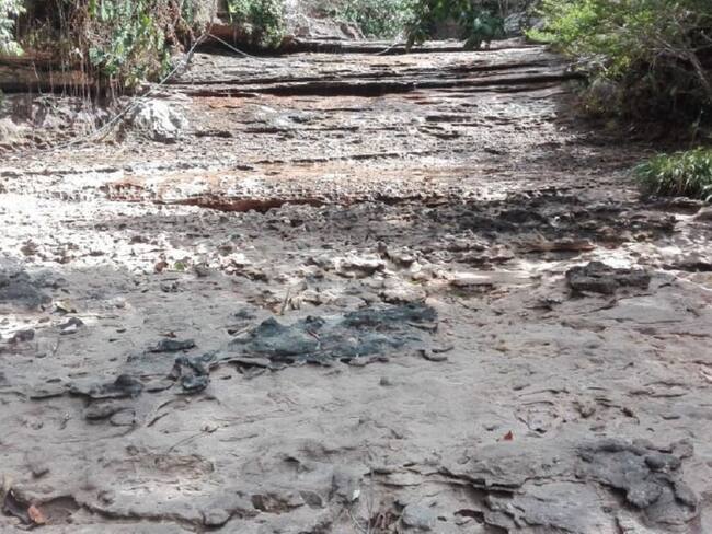 La CDA prohíbe el uso de las fuentes hídricas en Serranía La Lindosa