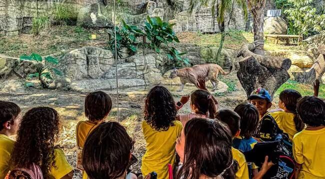 El puma Orus estuvo durante 4 años en el Parque.