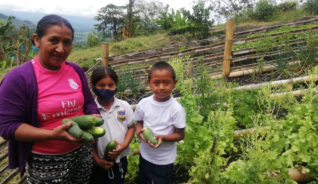 Sembrar, otra manera de aprender en la Institución Educativa La Libertad