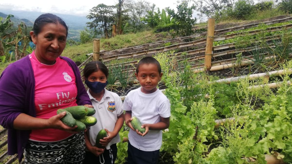Amor por el campo transmite educadora en clase de ciencias en Caldas