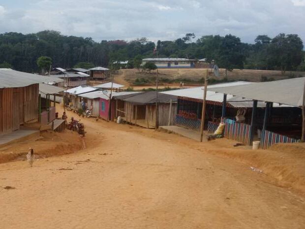 Carrizal en Remedios, Antioquia. Foto: cortesía.