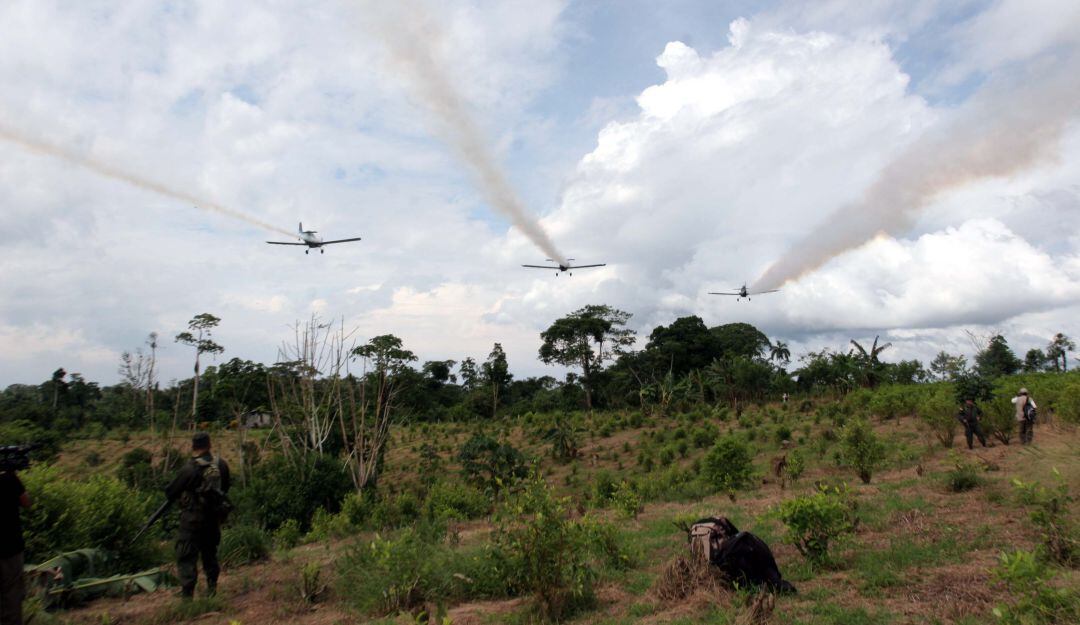 Fumigación de cultivos ilícitos con glifosato.