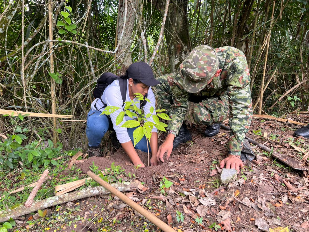 Siembra de 270 árboles nativos en el Huila: en El Agrado se plantaron 120, en Garzón 100 y en Pitalito 50. Foto Relacionada 