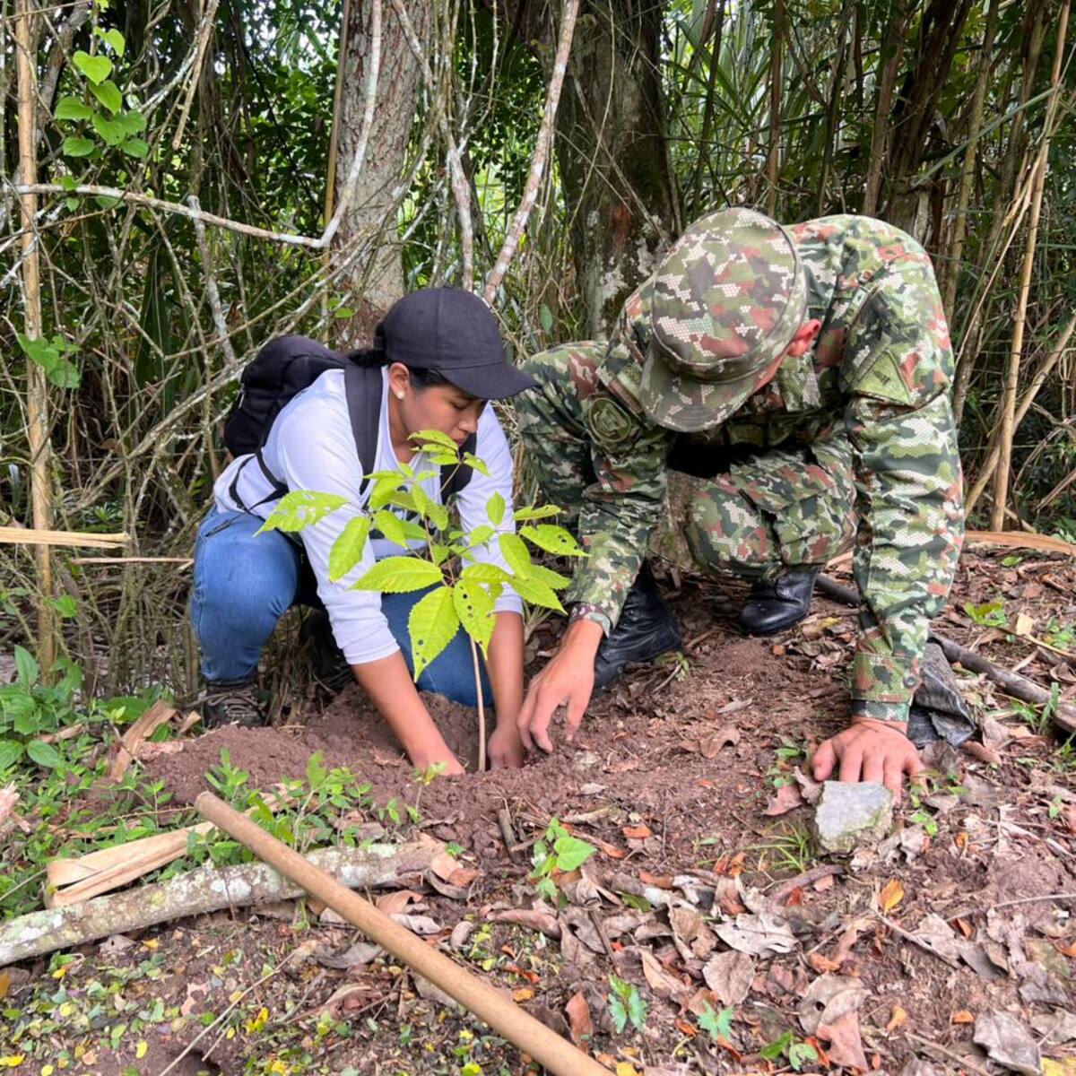 Sembratón de 270 árboles nativos impulsa aire limpio y acción climática en el Huila