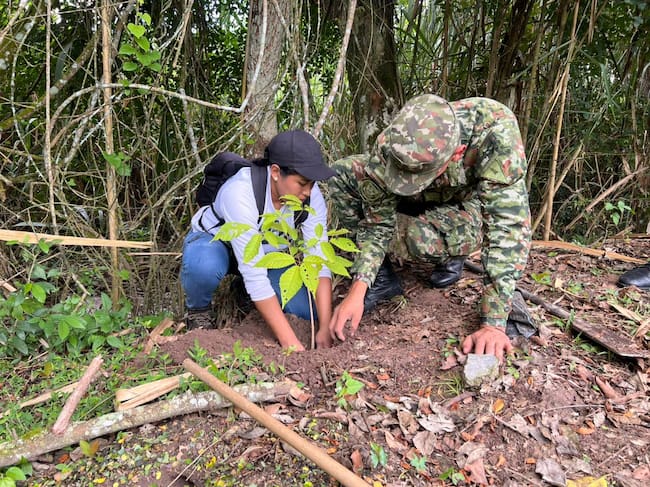 Siembra de 270 árboles nativos en el Huila: en El Agrado se plantaron 120, en Garzón 100 y en Pitalito 50. Foto Relacionada