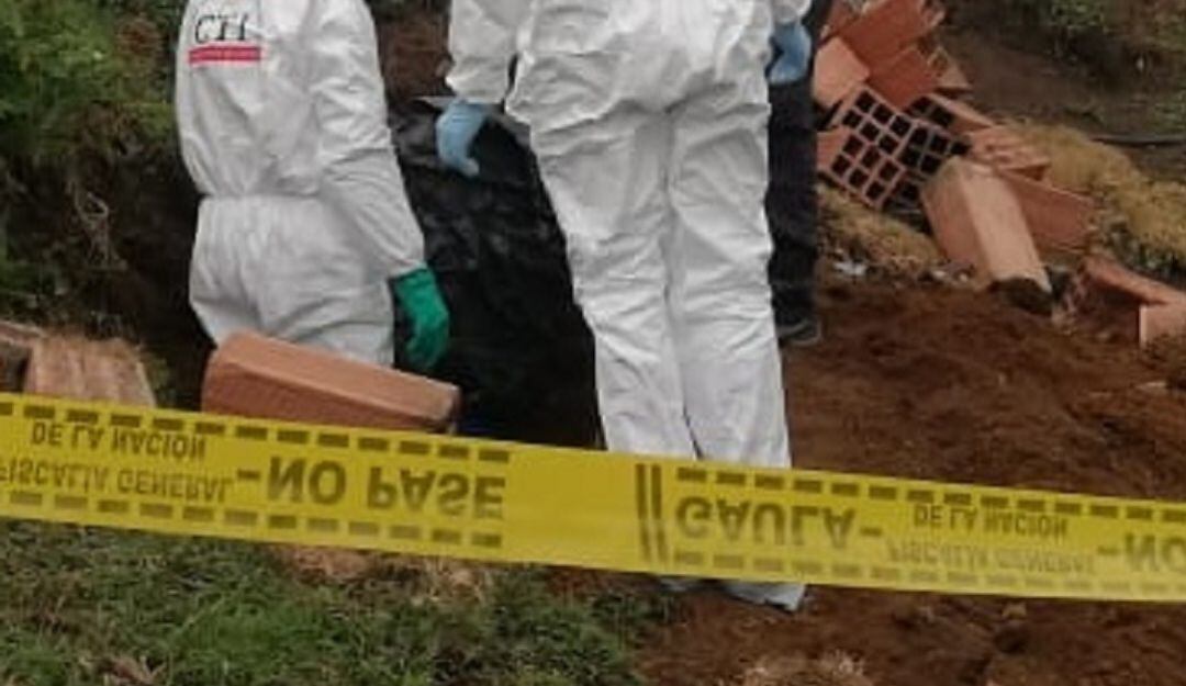 Imagen de referencia