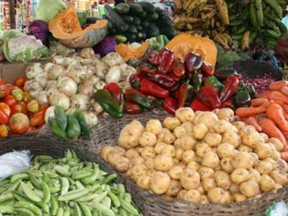 Expertos aseguran que efectos económicos por el paro agrario se verán de forma inmediata