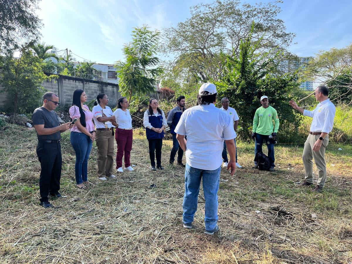 Cartagena contará con su primer megavivero público en el colegio INEM