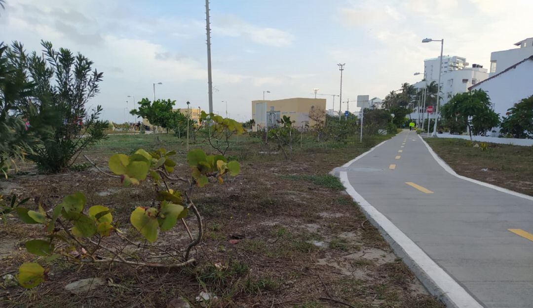 Parque Lineal de Crespo en Cartagena