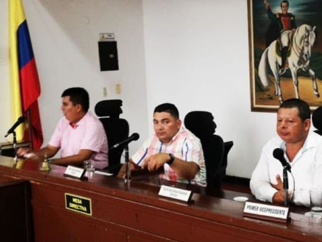 Suspensión provisional a artículo de ordenanza de asamblea de Guaviare