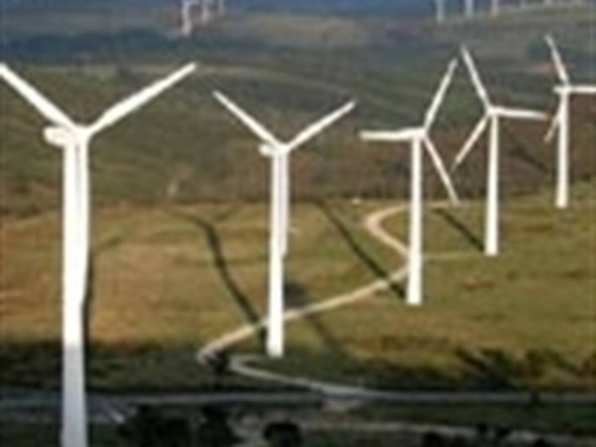La CE propone directrices para que parques eólicos respeten más la naturaleza