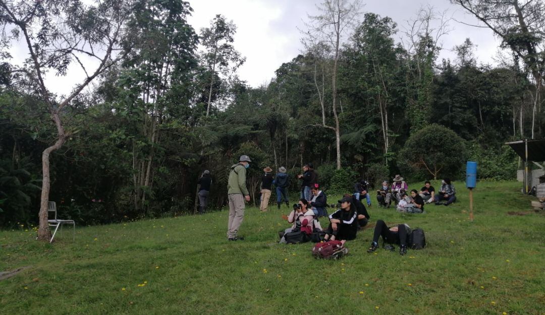 Jornada de avistamiento de aves