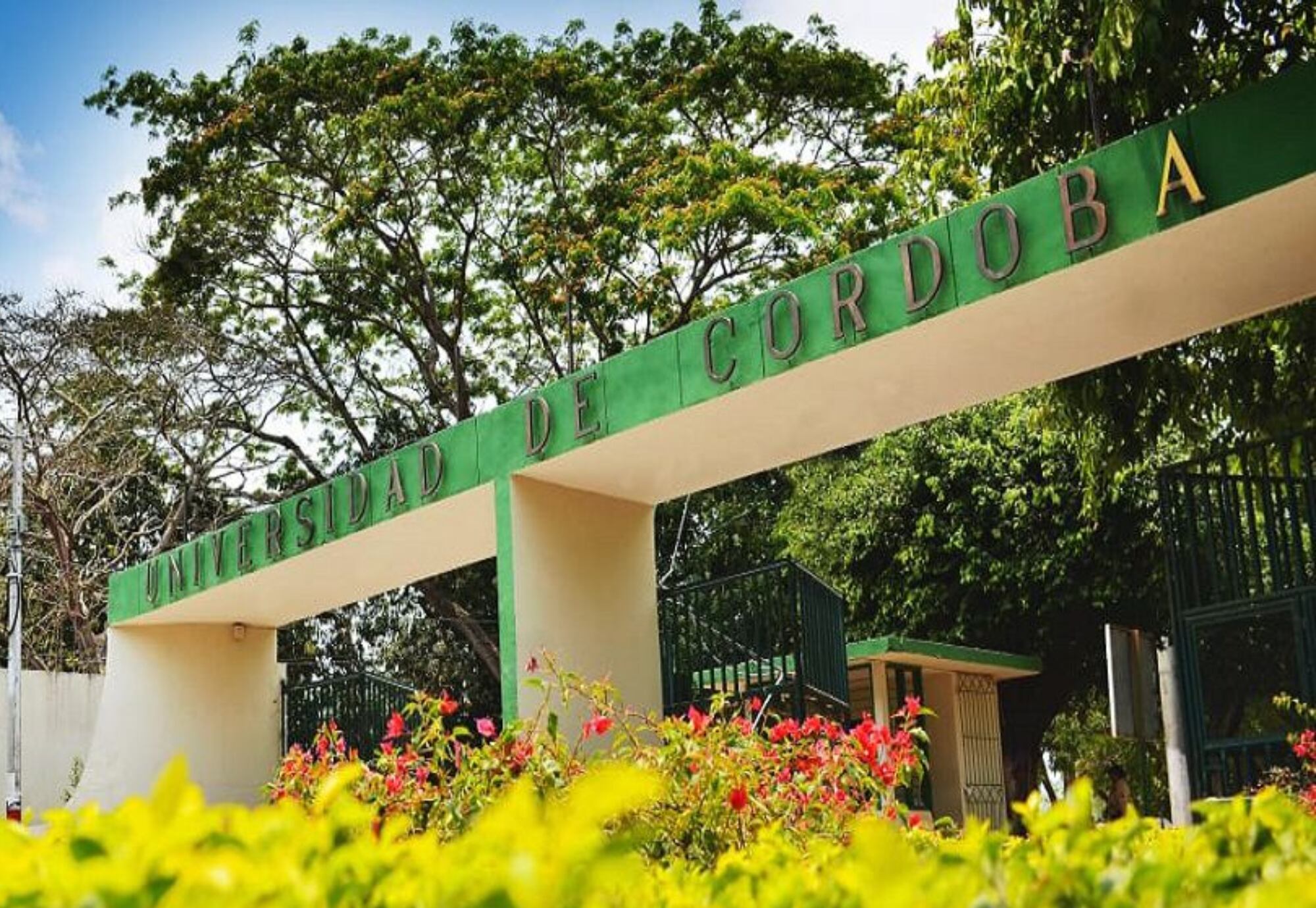 Universidad de Córdoba