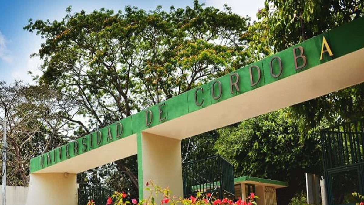 Consejo superior de la Universidad de Córdoba aprueba el documento base del programa de Medicina