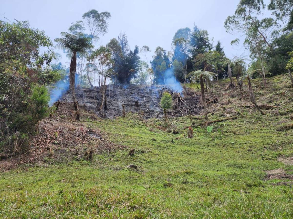 Tres incendios simultáneos controlaron los organismos de socorro en Manizales
