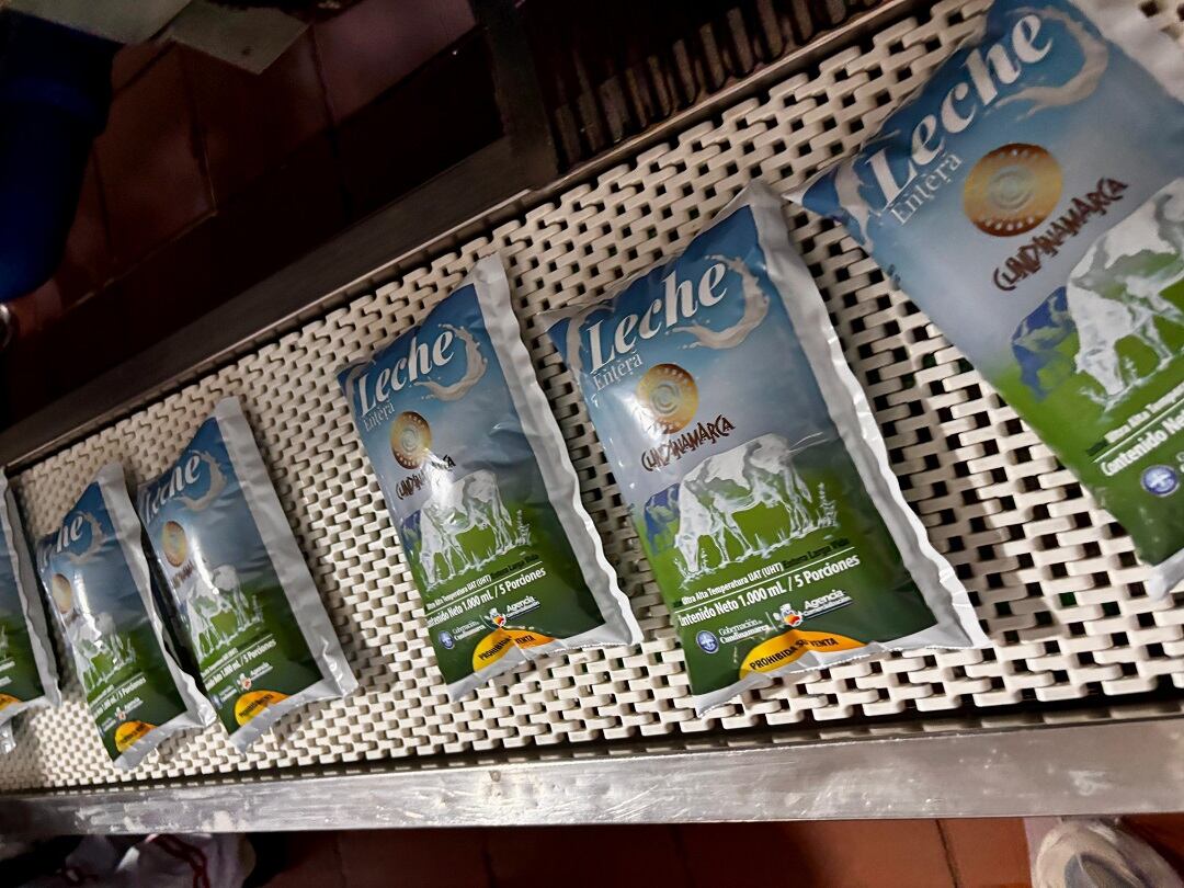 Gobernación de Cundinamarca pone en marcha estrategia para beneficiar a productores de leche