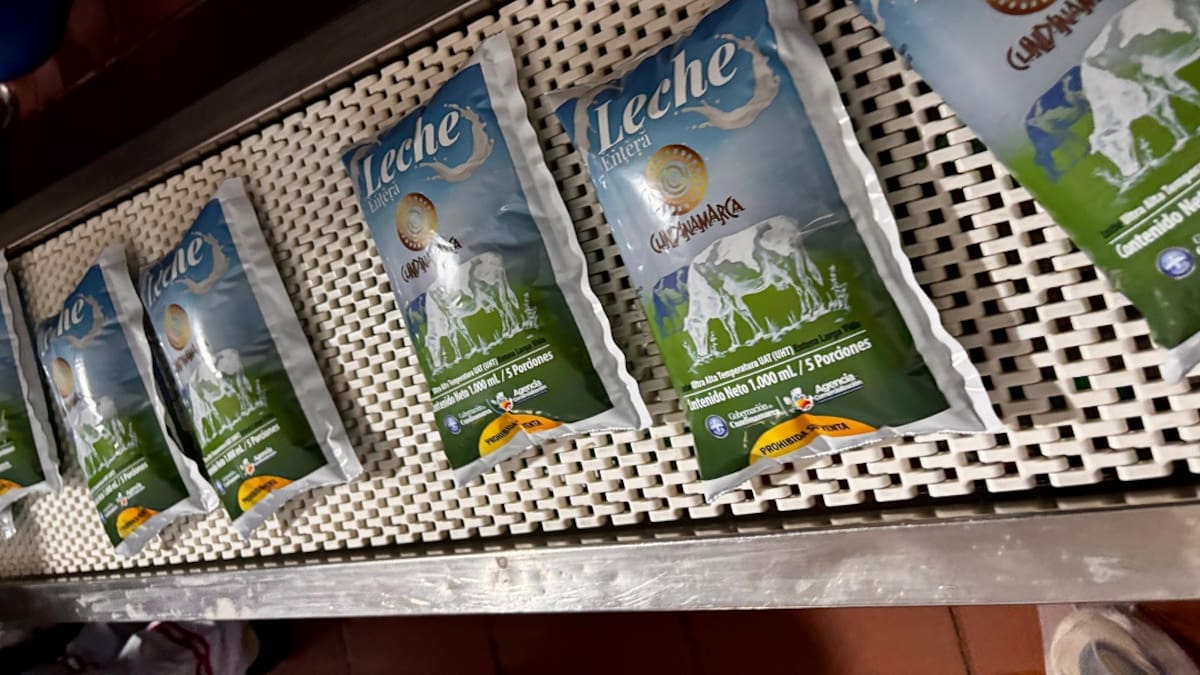 Gobernación de Cundinamarca pone en marcha estrategia para beneficiar a productores de leche