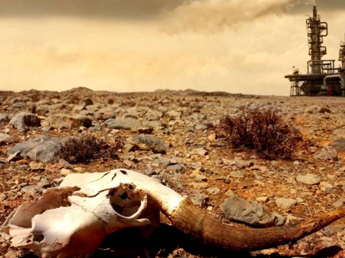 COP 21 debe lograr que la temperatura mundial no aumente en 2 grados