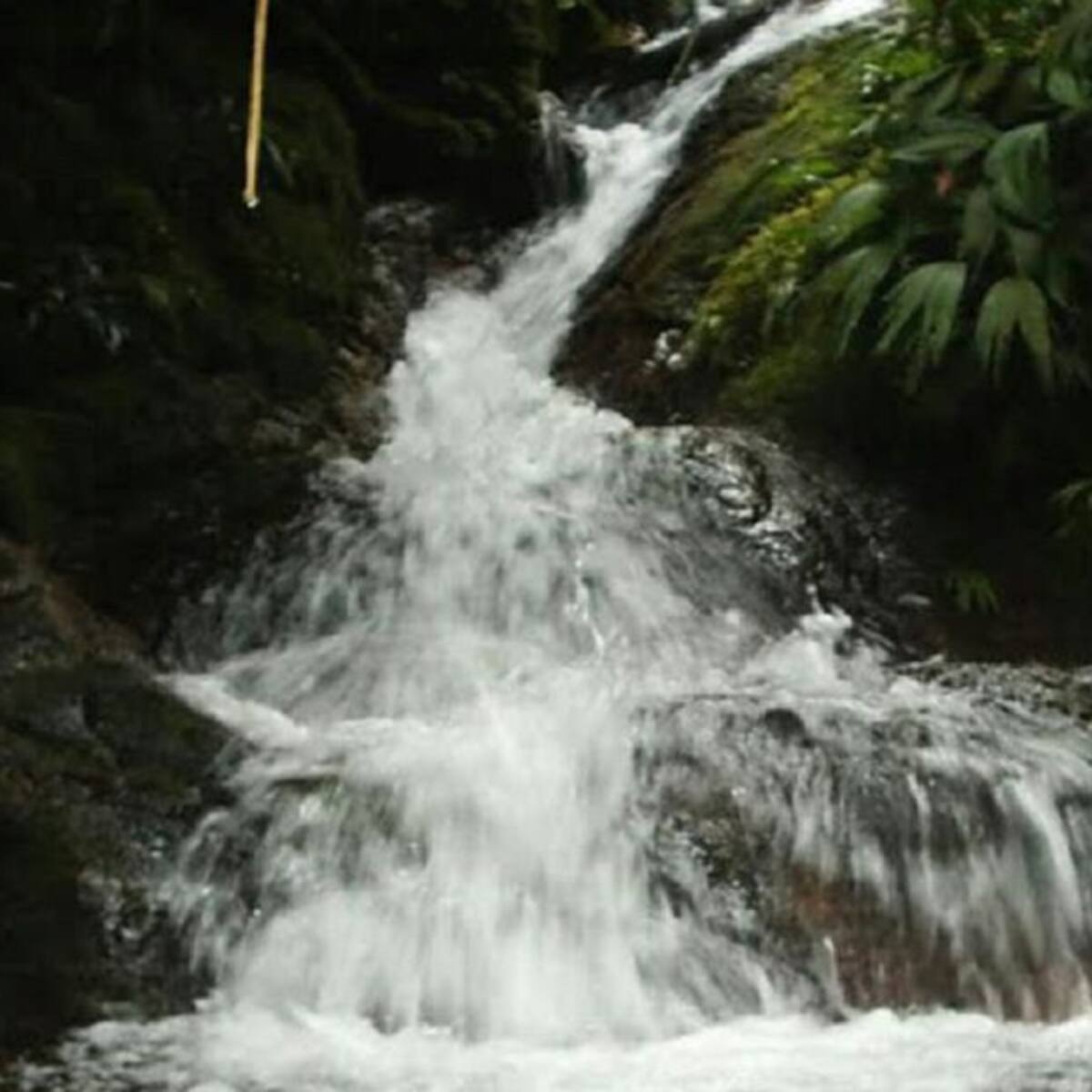 Todos somos agua y por eso debemos cuidarla: Gerente EPA