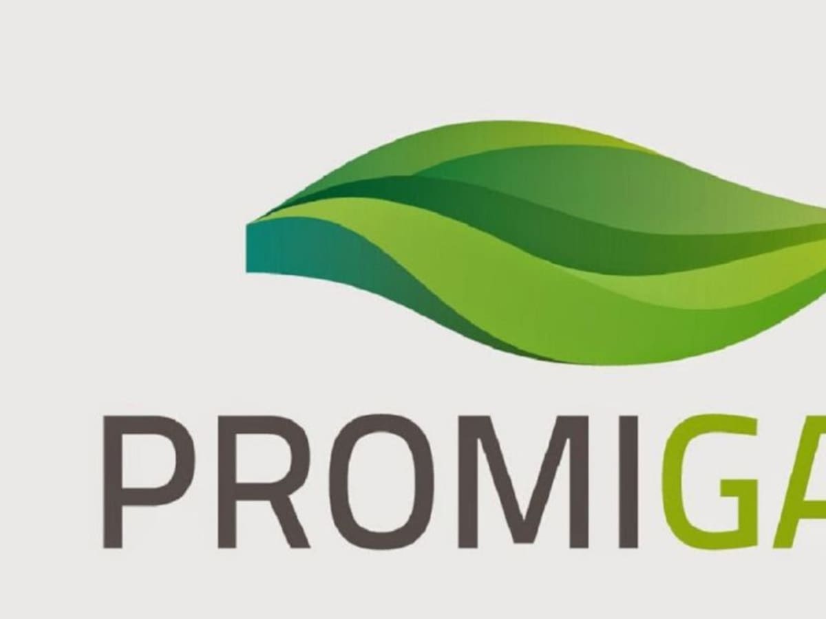 Promigas firma alianza para investigación en gases renovables