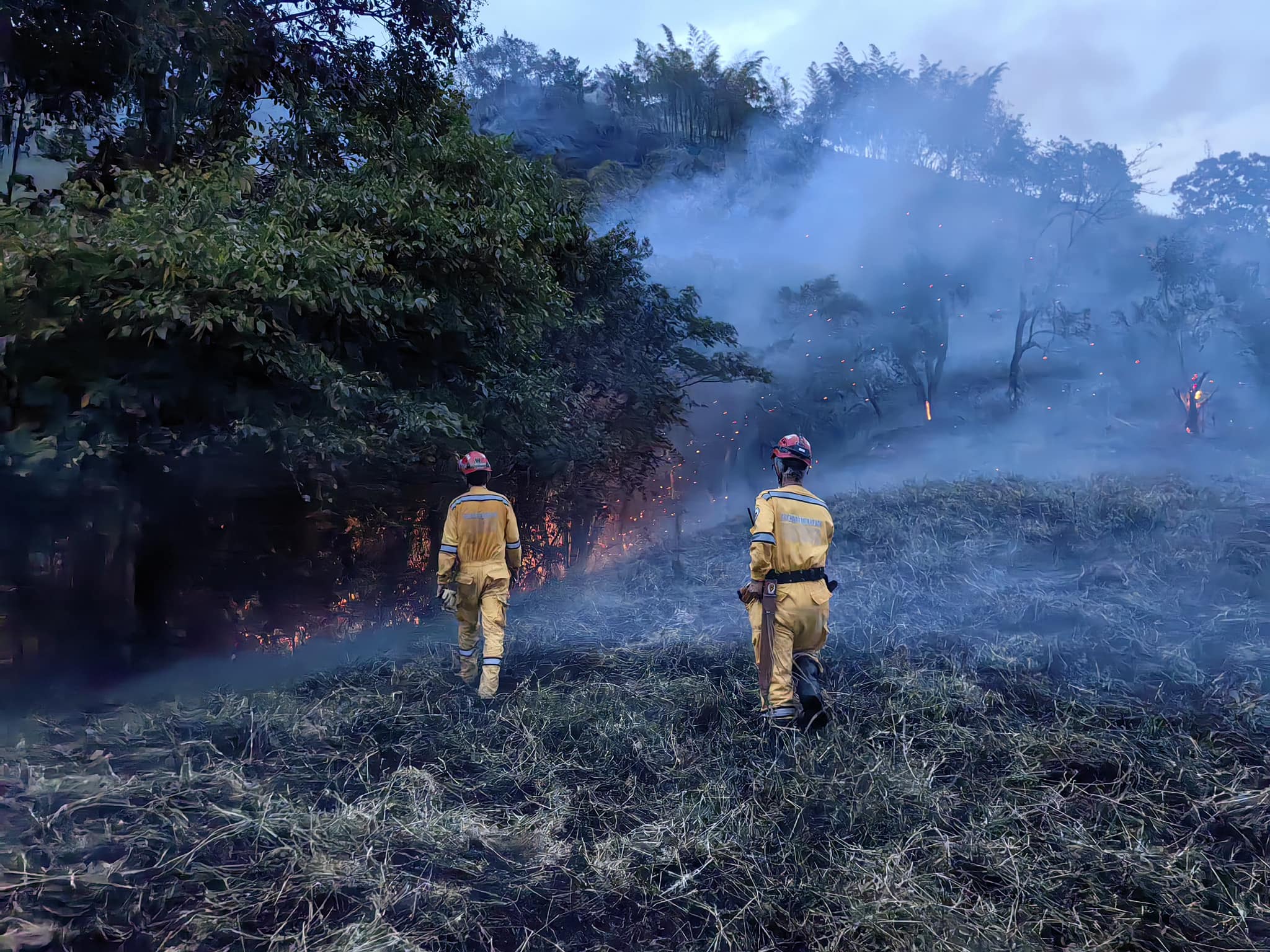 Secretaría de Medio Ambiente de Caldas
