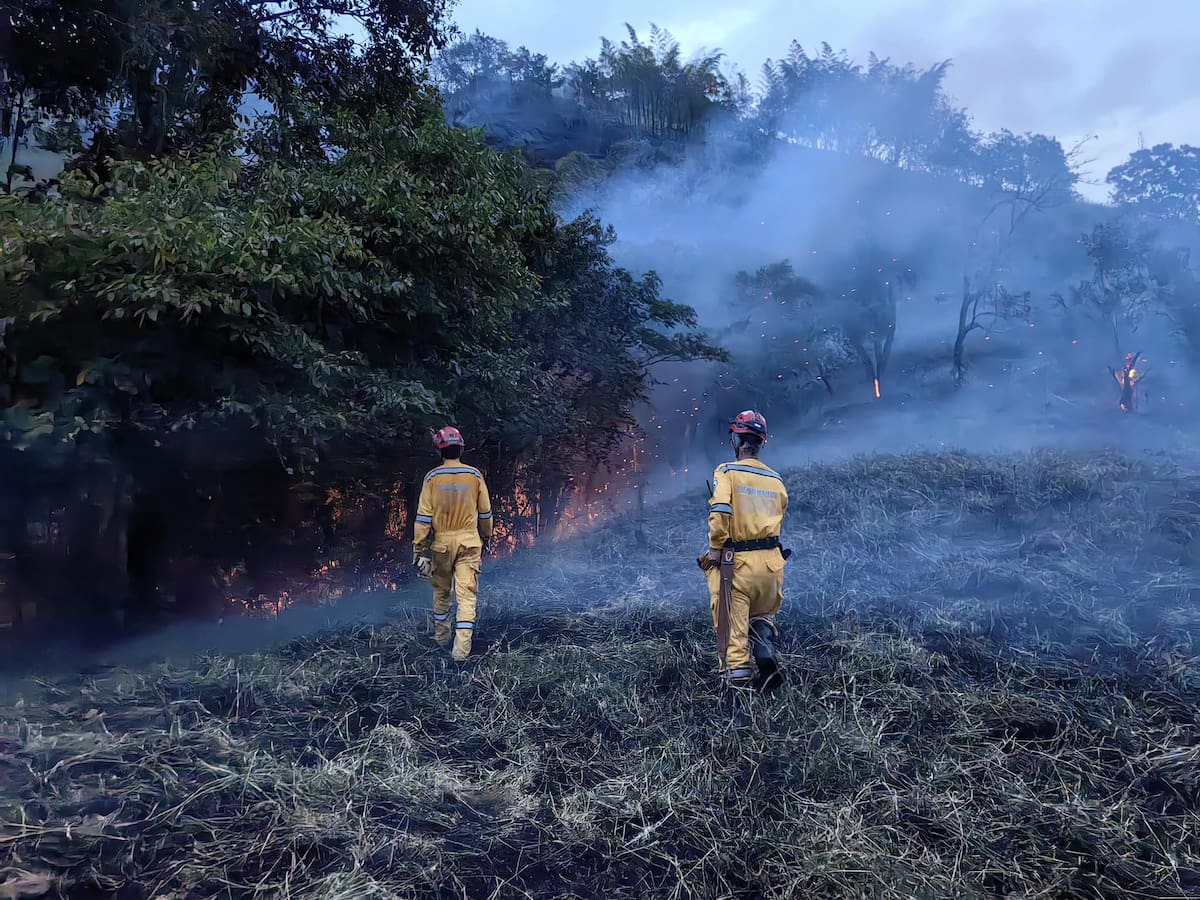 Incendios forestales en municipios de Caldas estarían siendo provocados por la ciudadanía