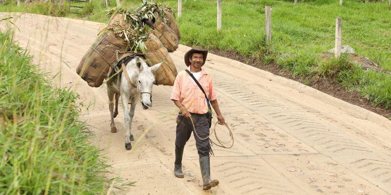 En su primer año, la Gobernación de Cundinamarca invirtió más de 176 mil millones: le contamos