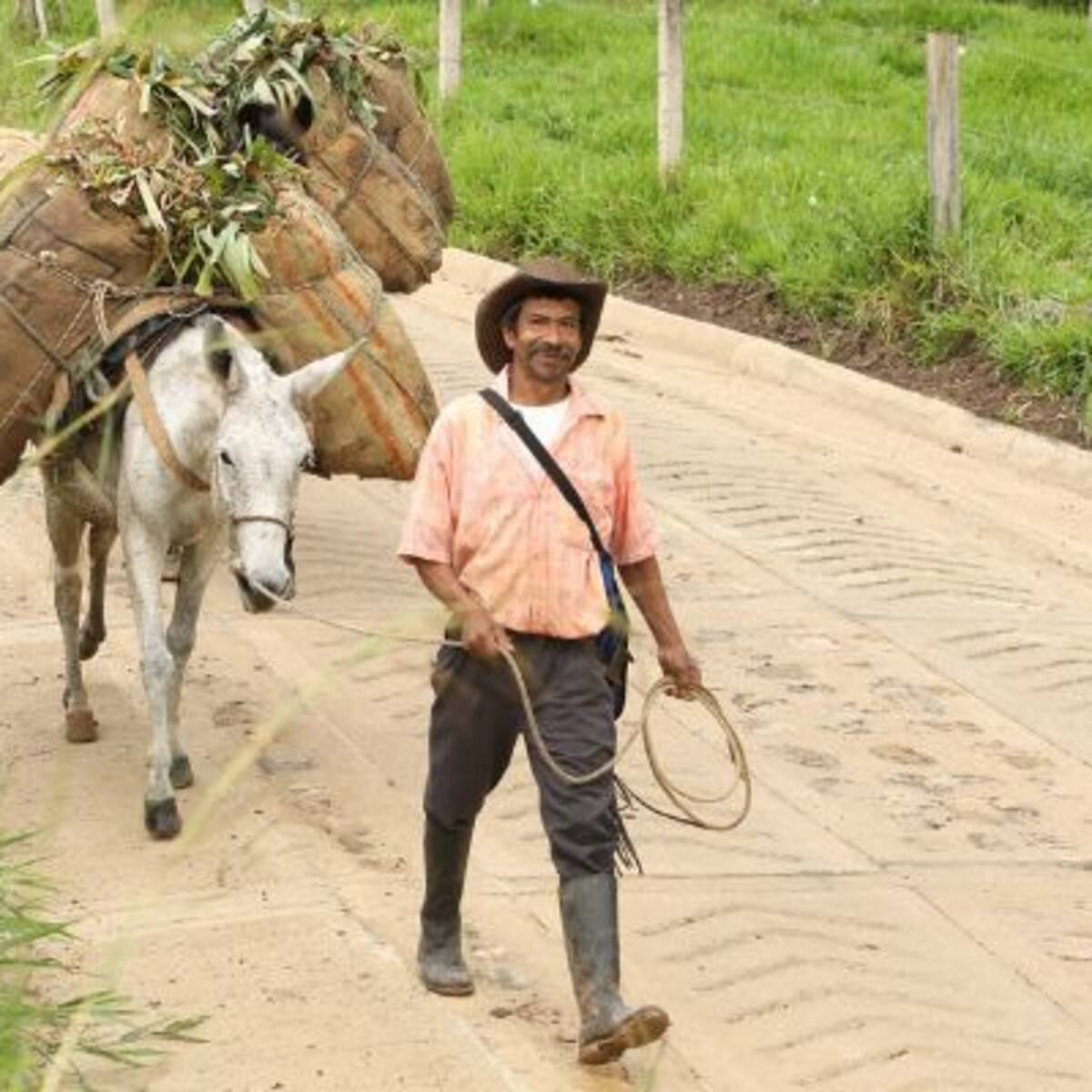 En su primer año, la Gobernación de Cundinamarca invirtió más de 176 mil millones: le contamos