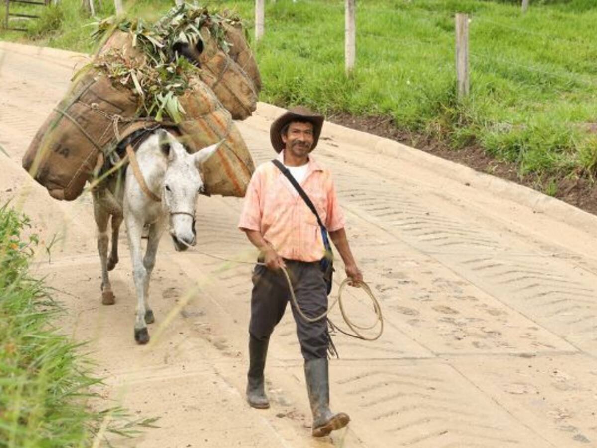 En su primer año, la Gobernación de Cundinamarca invirtió más de 176 mil millones: le contamos