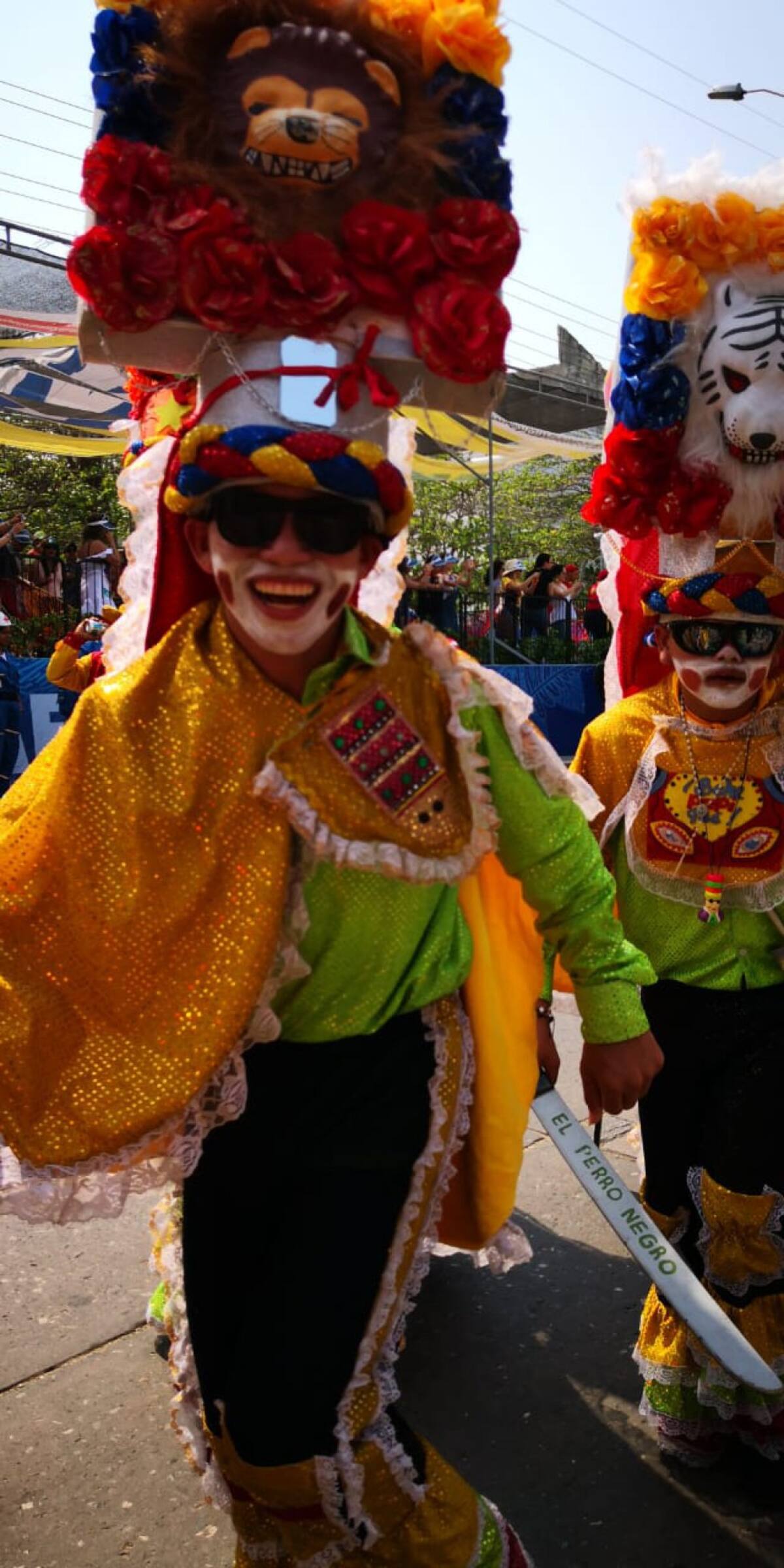 El color adorna el Carnaval