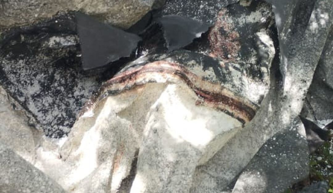 Joven de 19 años fue desmembrado en Buga, Valle