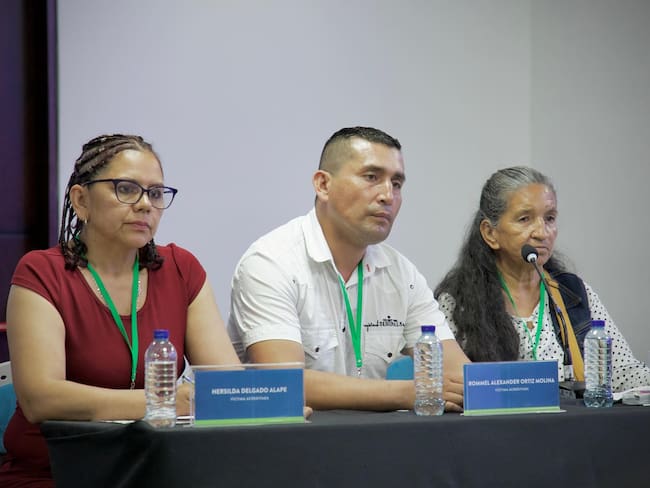 Víctimas de las Farc en el Tolima