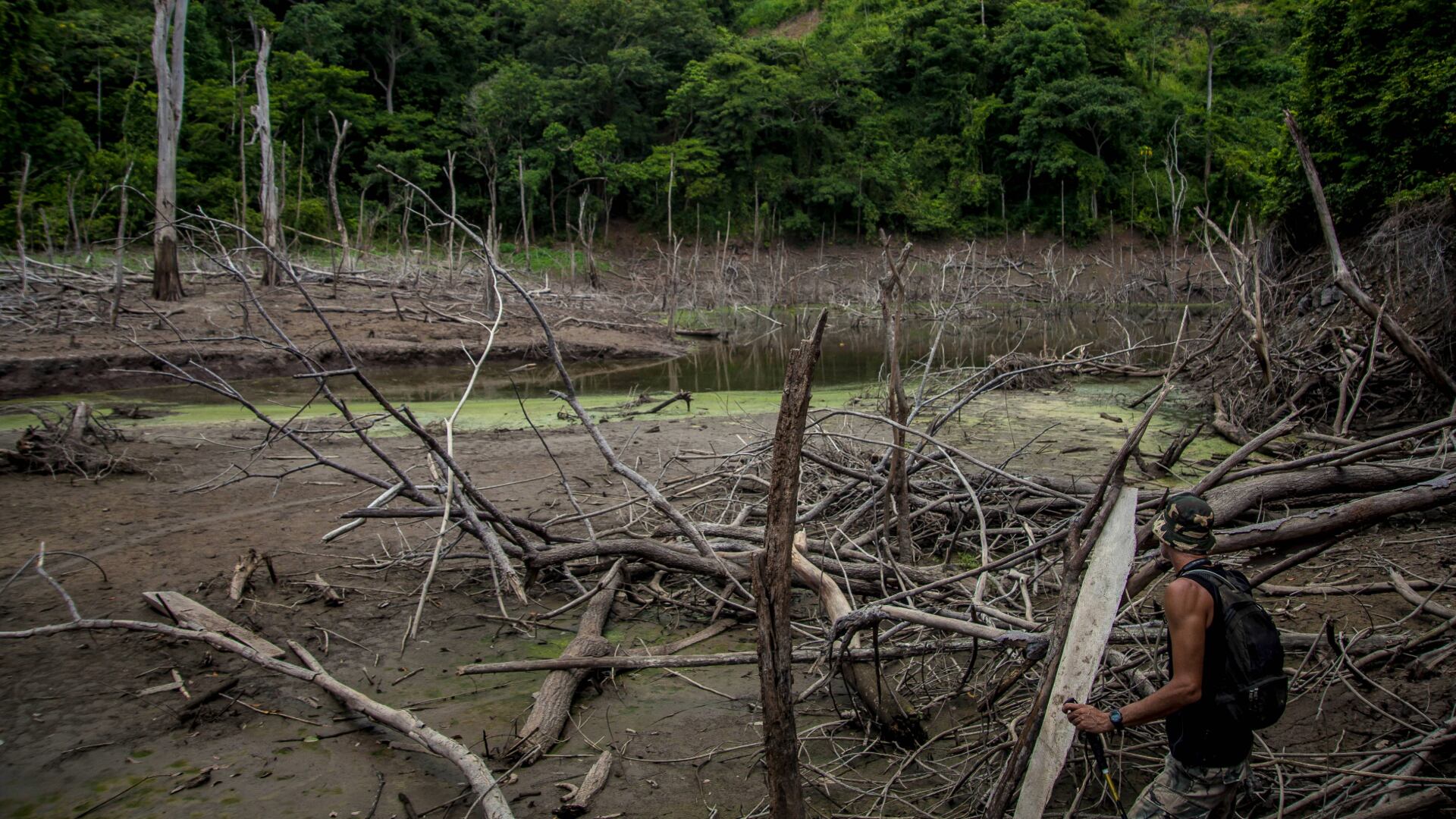 En los últimos cinco años los cultivos decoca aumentaron un 88,9% en los municipios del arco noroccidental
de deforestación. | Foto: FCDS