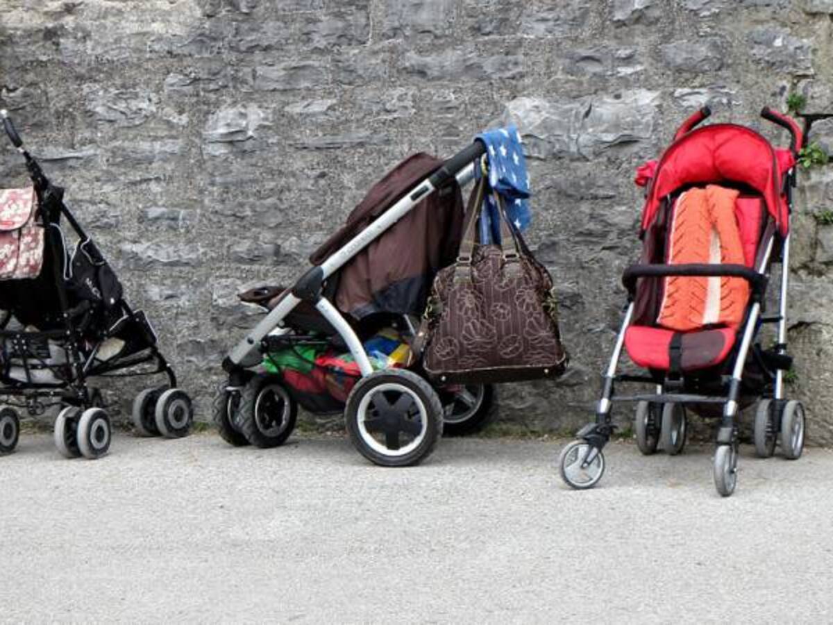 Demandas por alimentos ha aumentado en los últimos años: Universidad La Gran Colombia