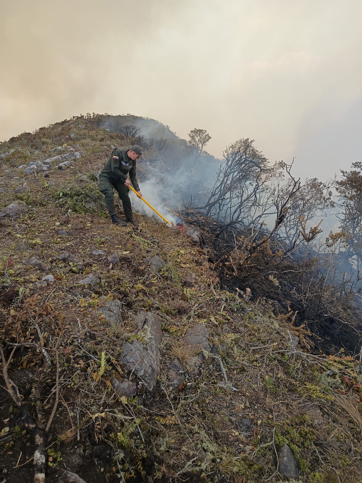 Expertos plantean fortalecer la restauración, los cortafuegos y las fuentes de agua para prevenir nuevos incendios en la zona.
