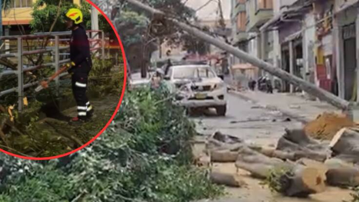 Jorge Leonardo León, edil comuna 4