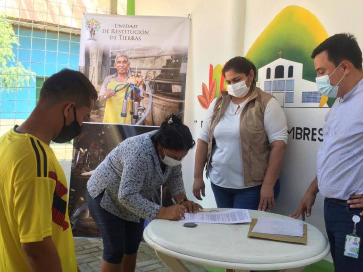 100 toneladas de ñame son comercializadas por víctimas de San Jacinto