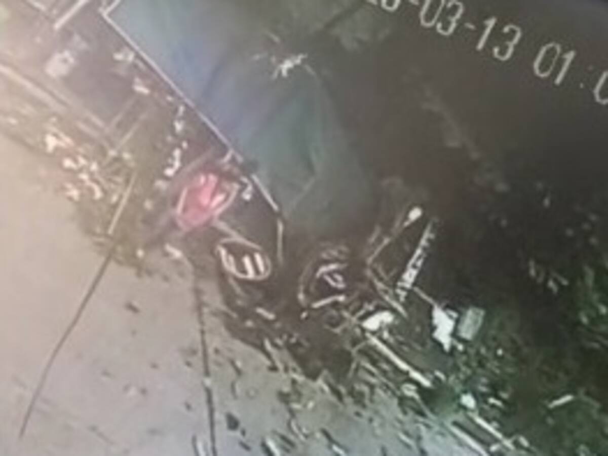 Video: árbol cayó encima de vendedores de flores